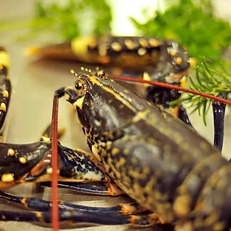 Aherne's Townhouse And Seafood Restaurant Hotel Youghal
