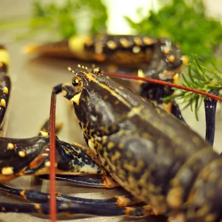 Aherne's Townhouse And Seafood Restaurant Youghal