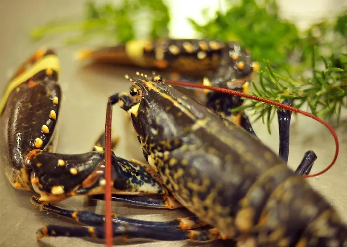 Aherne's Townhouse And Seafood Restaurant יוגאל